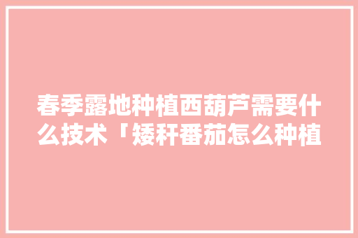 春季露地种植西葫芦需要什么技术「矮秆番茄怎么种植方法视频」 春季露地种植西葫芦需要什么技术「矮秆番茄怎么种植方法视频」 植物种类