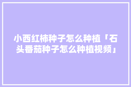 小西红柿种子怎么种植「石头番茄种子怎么种植视频」 小西红柿种子怎么种植「石头番茄种子怎么种植视频」 番茄病虫害防治