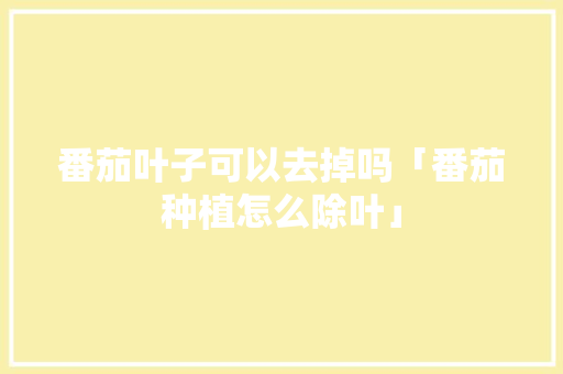 番茄叶子可以去掉吗「番茄种植怎么除叶」
