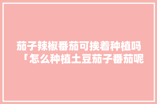 茄子辣椒番茄可挨着种植吗「怎么种植土豆茄子番茄呢视频」 茄子辣椒番茄可挨着种植吗「怎么种植土豆茄子番茄呢视频」 植物种类
