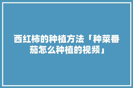 西红柿的种植方法「种菜番茄怎么种植的视频」 西红柿的种植方法「种菜番茄怎么种植的视频」 土壤施肥