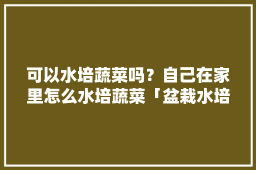 可以水培蔬菜吗？自己在家里怎么水培蔬菜「盆栽水培蔬菜种植小技巧视频」 可以水培蔬菜吗？自己在家里怎么水培蔬菜「盆栽水培蔬菜种植小技巧视频」 土壤施肥