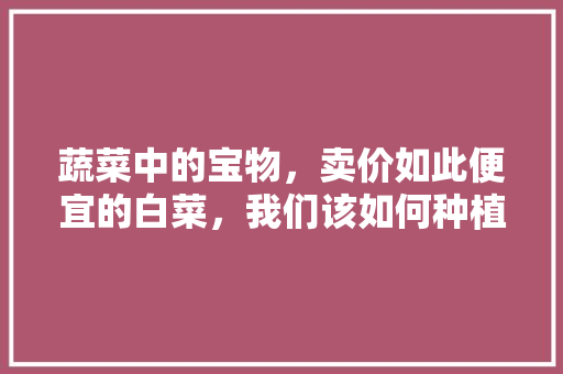 蔬菜中的宝物，卖价如此便宜的白菜，我们该如何种植去提高产量呢「素蔬菜种植技巧家庭版视频」