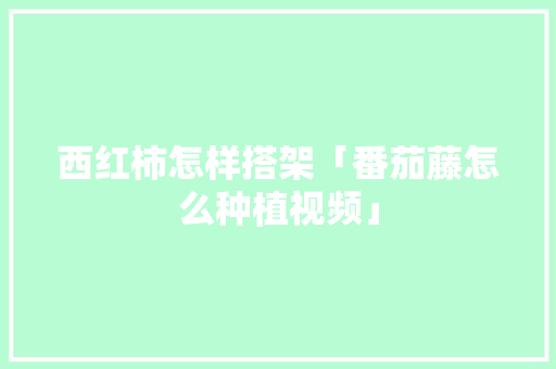 西红柿怎样搭架「番茄藤怎么种植视频」 西红柿怎样搭架「番茄藤怎么种植视频」 农业常识