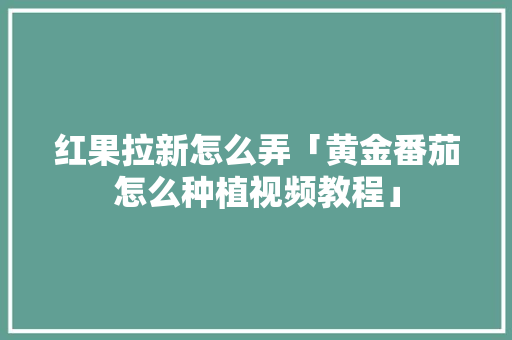 红果拉新怎么弄「黄金番茄怎么种植视频教程」 土壤施肥 红果拉新怎么弄「黄金番茄怎么种植视频教程」 红果拉新怎么弄「黄金番茄怎么种植视频教程」 土壤施肥