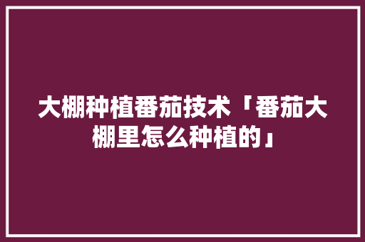 大棚种植番茄技术「番茄大棚里怎么种植的」 大棚种植番茄技术「番茄大棚里怎么种植的」 花朵知识