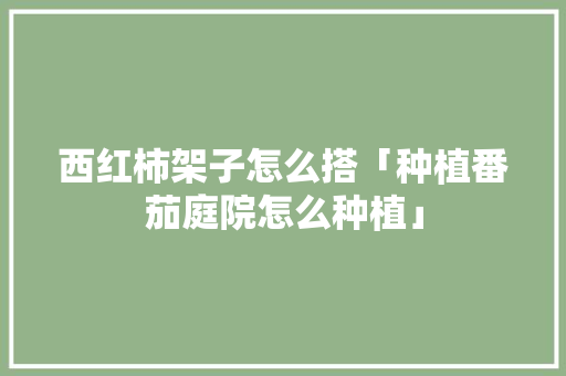 西红柿架子怎么搭「种植番茄庭院怎么种植」 西红柿架子怎么搭「种植番茄庭院怎么种植」 番茄种植技巧