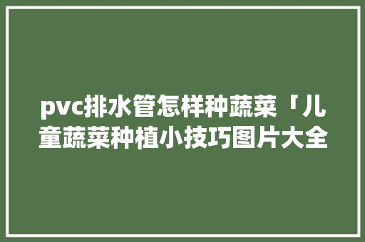 pvc排水管怎样种蔬菜「儿童蔬菜种植小技巧图片大全」 pvc排水管怎样种蔬菜「儿童蔬菜种植小技巧图片大全」 番茄种植技巧