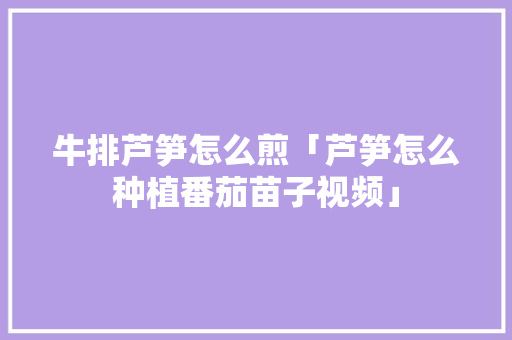牛排芦笋怎么煎「芦笋怎么种植番茄苗子视频」