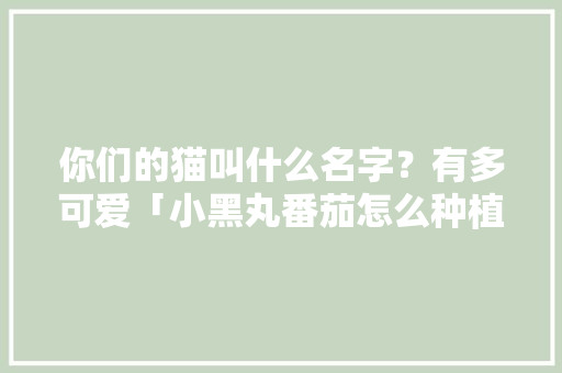你们的猫叫什么名字？有多可爱「小黑丸番茄怎么种植视频教程」