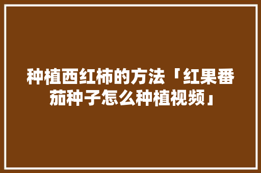 种植西红柿的方法「红果番茄种子怎么种植视频」 种植西红柿的方法「红果番茄种子怎么种植视频」 土壤施肥