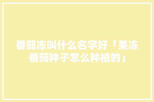 番茄冻叫什么名字好「果冻番茄种子怎么种植的」 番茄冻叫什么名字好「果冻番茄种子怎么种植的」 番茄病虫害防治