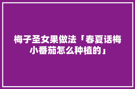 梅子圣女果做法「春夏话梅小番茄怎么种植的」