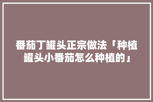 番茄丁罐头正宗做法「种植罐头小番茄怎么种植的」 番茄丁罐头正宗做法「种植罐头小番茄怎么种植的」 植物种类