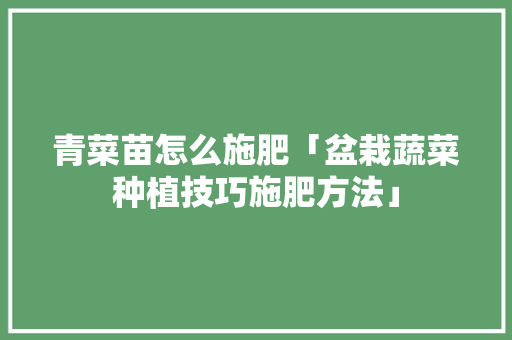 青菜苗怎么施肥「盆栽蔬菜种植技巧施肥方法」