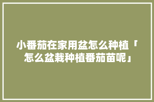 小番茄在家用盆怎么种植「怎么盆栽种植番茄苗呢」 小番茄在家用盆怎么种植「怎么盆栽种植番茄苗呢」 花朵知识