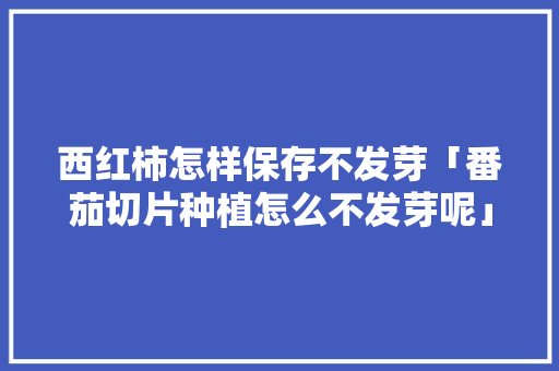 西红柿怎样保存不发芽「番茄切片种植怎么不发芽呢」 西红柿怎样保存不发芽「番茄切片种植怎么不发芽呢」 种植技巧