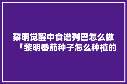 黎明觉醒中食谱列巴怎么做「黎明番茄种子怎么种植的」 黎明觉醒中食谱列巴怎么做「黎明番茄种子怎么种植的」 番茄种植技巧