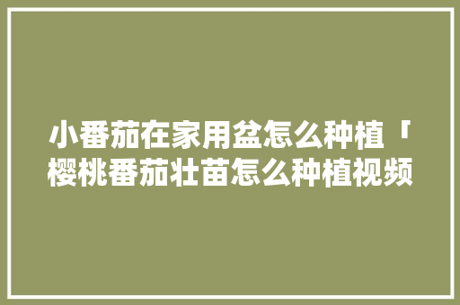 小番茄在家用盆怎么种植「樱桃番茄壮苗怎么种植视频」 小番茄在家用盆怎么种植「樱桃番茄壮苗怎么种植视频」 花朵知识