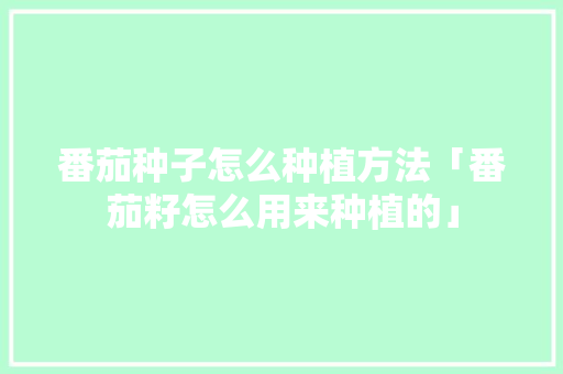 番茄种子怎么种植方法「番茄籽怎么用来种植的」 番茄种子怎么种植方法「番茄籽怎么用来种植的」 植物种类