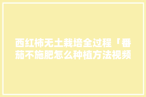 西红柿无土栽培全过程「番茄不施肥怎么种植方法视频」 西红柿无土栽培全过程「番茄不施肥怎么种植方法视频」 种植技巧