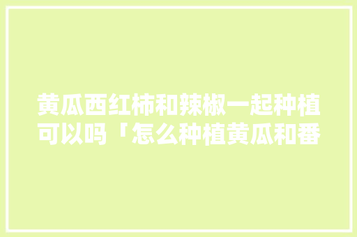 黄瓜西红柿和辣椒一起种植可以吗「怎么种植黄瓜和番茄的方法」 黄瓜西红柿和辣椒一起种植可以吗「怎么种植黄瓜和番茄的方法」 花朵知识