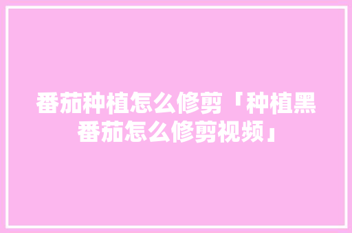 番茄种植怎么修剪「种植黑番茄怎么修剪视频」 番茄种植怎么修剪「种植黑番茄怎么修剪视频」 番茄种植技巧