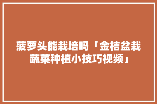 菠萝头能栽培吗「金桔盆栽蔬菜种植小技巧视频」