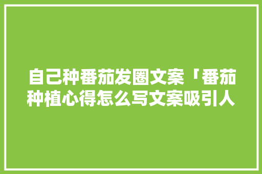 自己种番茄发圈文案「番茄种植心得怎么写文案吸引人」 自己种番茄发圈文案「番茄种植心得怎么写文案吸引人」 植物种类