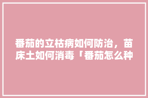 番茄的立枯病如何防治，苗床土如何消毒「番茄怎么种植才不生病呢」 番茄的立枯病如何防治，苗床土如何消毒「番茄怎么种植才不生病呢」 花朵知识