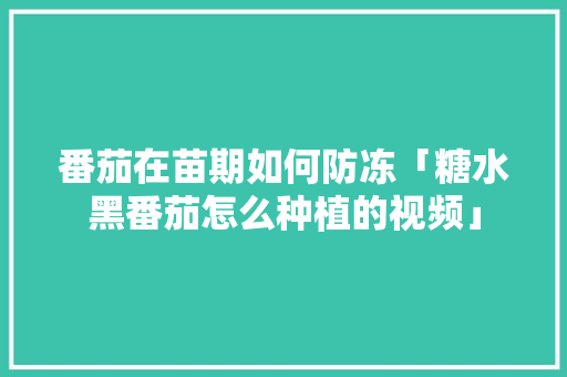 番茄在苗期如何防冻「糖水黑番茄怎么种植的视频」 种植技巧 番茄在苗期如何防冻「糖水黑番茄怎么种植的视频」 番茄在苗期如何防冻「糖水黑番茄怎么种植的视频」 种植技巧