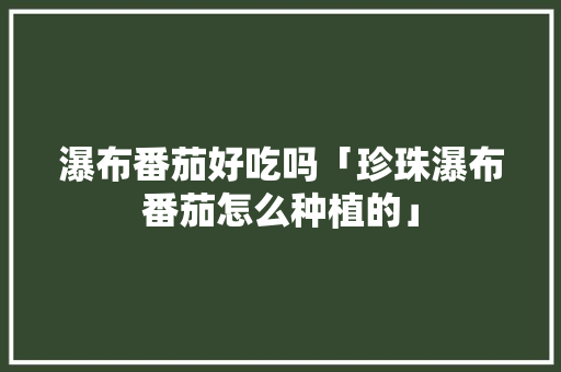 瀑布番茄好吃吗「珍珠瀑布番茄怎么种植的」 瀑布番茄好吃吗「珍珠瀑布番茄怎么种植的」 种植技巧