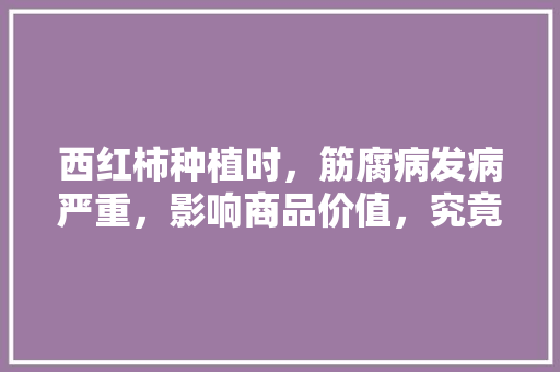 西红柿种植时，筋腐病发病严重，影响商品价值，究竟该如何防治呢「番茄坏了怎么种植的图片大全」 西红柿种植时，筋腐病发病严重，影响商品价值，究竟该如何防治呢「番茄坏了怎么种植的图片大全」 花朵知识