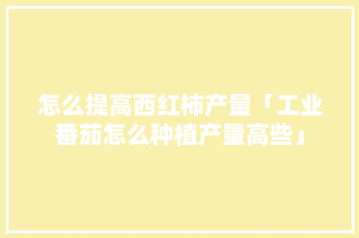 怎么提高西红柿产量「工业番茄怎么种植产量高些」 怎么提高西红柿产量「工业番茄怎么种植产量高些」 番茄种植技巧