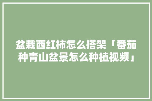 盆栽西红柿怎么搭架「番茄种青山盆景怎么种植视频」 盆栽西红柿怎么搭架「番茄种青山盆景怎么种植视频」 番茄种植技巧