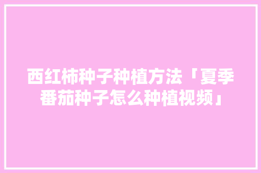 西红柿种子种植方法「夏季番茄种子怎么种植视频」 西红柿种子种植方法「夏季番茄种子怎么种植视频」 植物种类