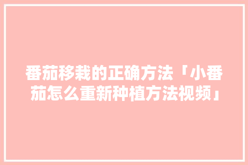 番茄移栽的正确方法「小番茄怎么重新种植方法视频」 土壤施肥 番茄移栽的正确方法「小番茄怎么重新种植方法视频」 番茄移栽的正确方法「小番茄怎么重新种植方法视频」 土壤施肥