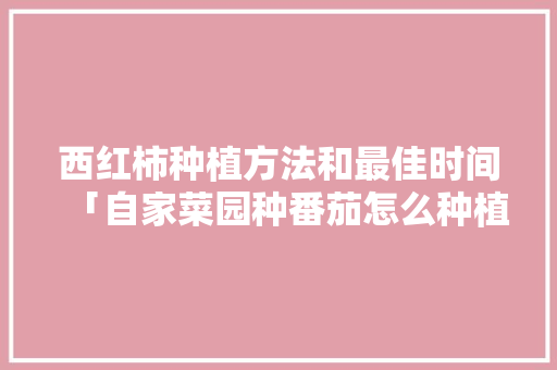 西红柿种植方法和最佳时间「自家菜园种番茄怎么种植视频」 植物种类 西红柿种植方法和最佳时间「自家菜园种番茄怎么种植视频」 西红柿种植方法和最佳时间「自家菜园种番茄怎么种植视频」 植物种类