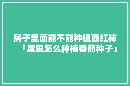 房子里面能不能种植西红柿「屋里怎么种植番茄种子」 房子里面能不能种植西红柿「屋里怎么种植番茄种子」 植物种类