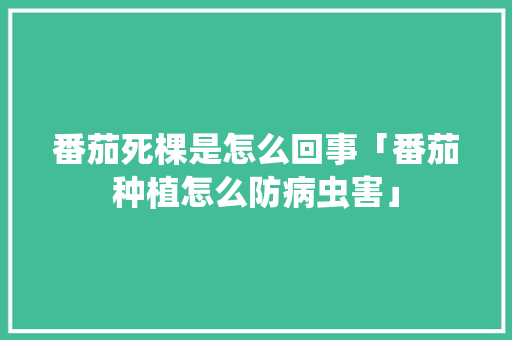 番茄死棵是怎么回事「番茄种植怎么防病虫害」
