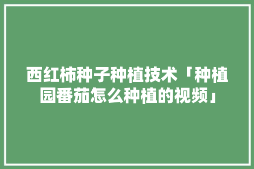 西红柿种子种植技术「种植园番茄怎么种植的视频」 西红柿种子种植技术「种植园番茄怎么种植的视频」 花朵知识