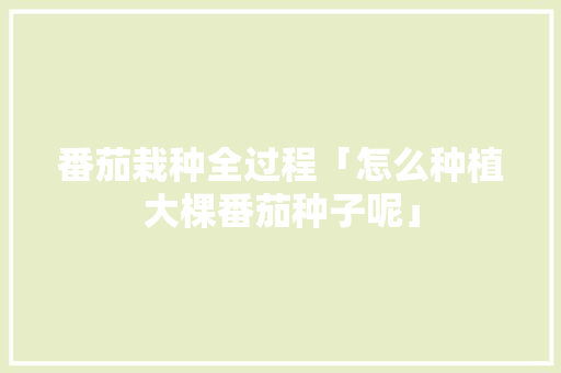 番茄栽种全过程「怎么种植大棵番茄种子呢」 番茄栽种全过程「怎么种植大棵番茄种子呢」 农业常识