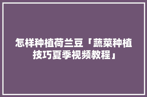 怎样种植荷兰豆「蔬菜种植技巧夏季视频教程」 怎样种植荷兰豆「蔬菜种植技巧夏季视频教程」 农业常识