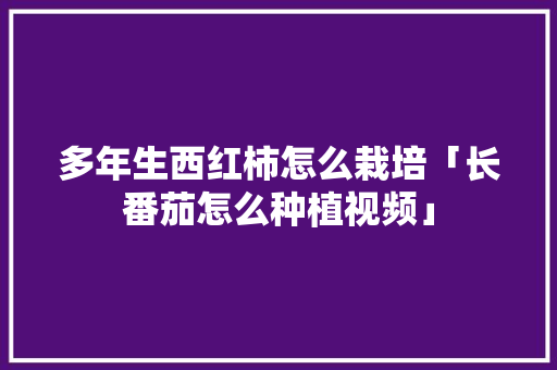 多年生西红柿怎么栽培「长番茄怎么种植视频」 多年生西红柿怎么栽培「长番茄怎么种植视频」 番茄种植技巧