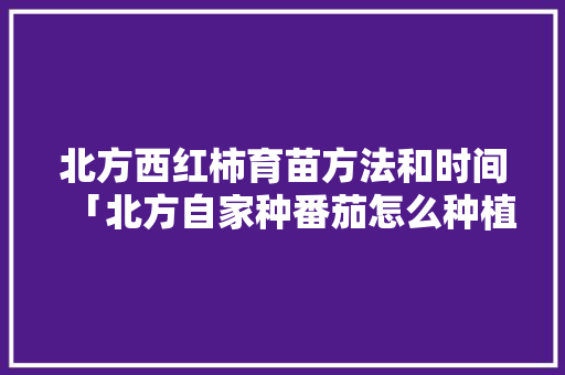 北方西红柿育苗方法和时间「北方自家种番茄怎么种植视频」 北方西红柿育苗方法和时间「北方自家种番茄怎么种植视频」 种植技巧