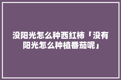 没阳光怎么种西红柿「没有阳光怎么种植番茄呢」 没阳光怎么种西红柿「没有阳光怎么种植番茄呢」 土壤施肥