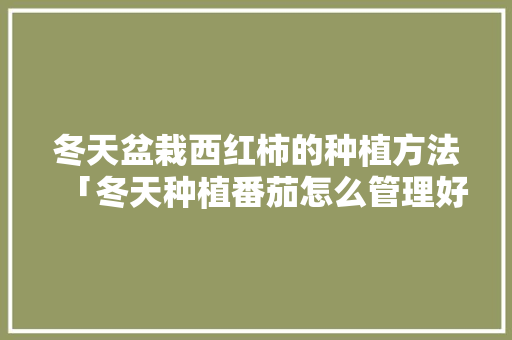 冬天盆栽西红柿的种植方法「冬天种植番茄怎么管理好」 冬天盆栽西红柿的种植方法「冬天种植番茄怎么管理好」 番茄种植技巧
