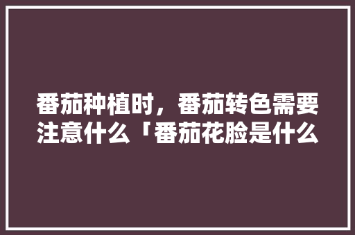 番茄种植时，番茄转色需要注意什么「番茄花脸是什么原因」 番茄种植时，番茄转色需要注意什么「番茄花脸是什么原因」 土壤施肥