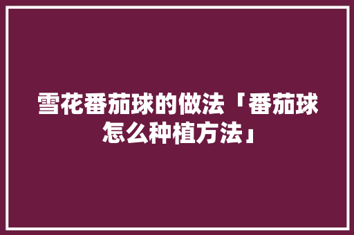 雪花番茄球的做法「番茄球怎么种植方法」