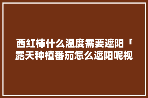 西红柿什么温度需要遮阳「露天种植番茄怎么遮阳呢视频」 西红柿什么温度需要遮阳「露天种植番茄怎么遮阳呢视频」 番茄病虫害防治